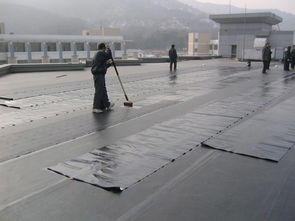 番禺防水補(bǔ)漏與管道疏通 選擇專業(yè)防水公司的重要性